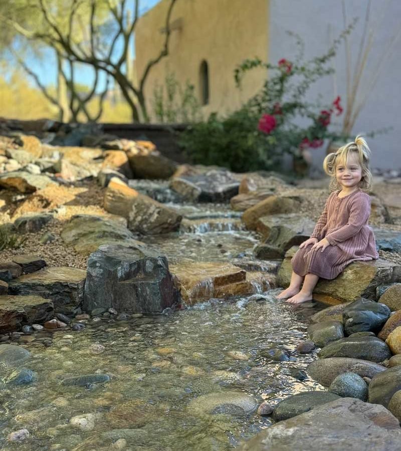 living-waterscapes-front-page-creek