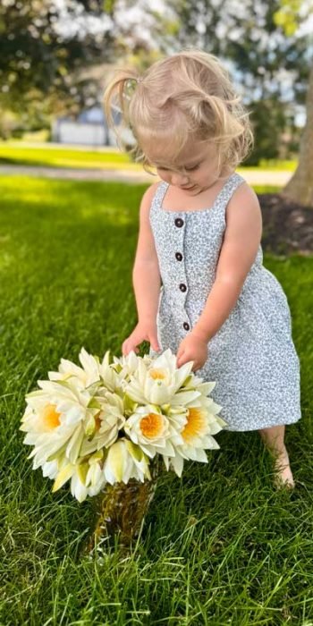 living-waterscapes-lilly